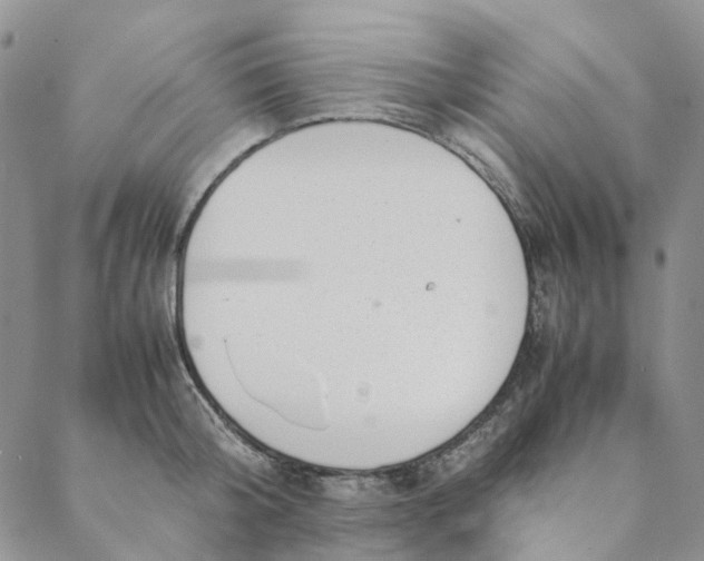 X0000088460804200706121503