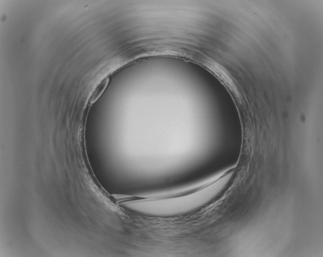 X0000088460805200706121503