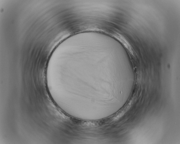 X0000088460806200706121503