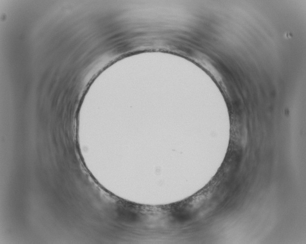 X0000088460807200706121503