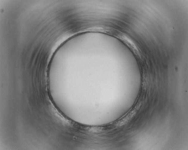 X0000088460808200706121503