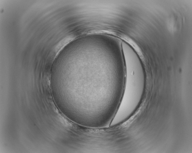 X0000088460809200706121503