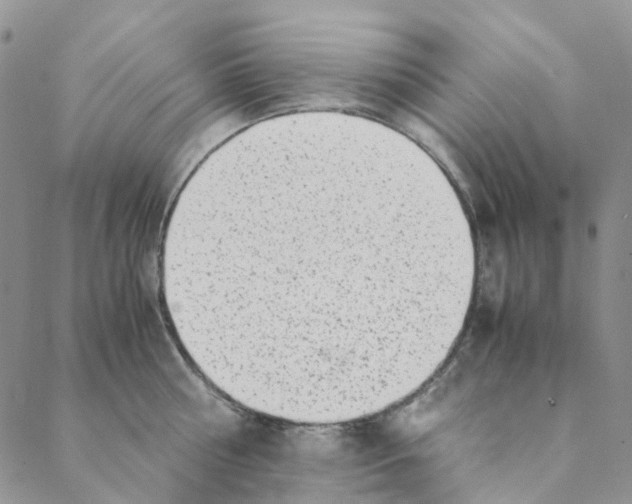 X0000088460810200706121503