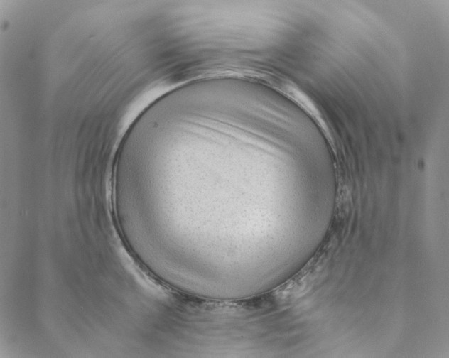 X0000088460811200706121503