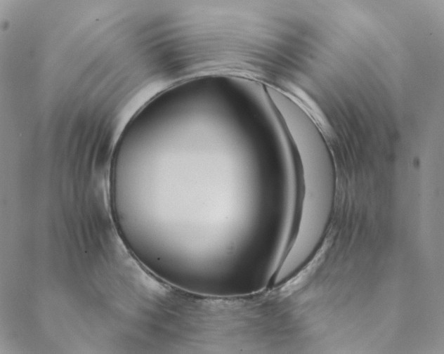 X0000088460812200706121503