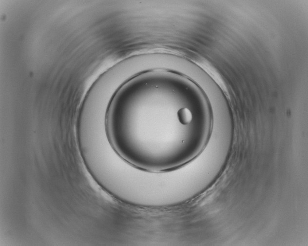 X0000088460813200706121503