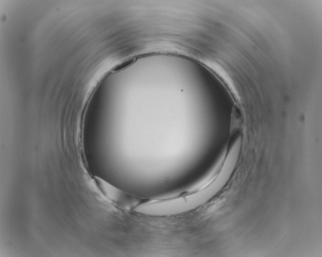 X0000088460815200706121503