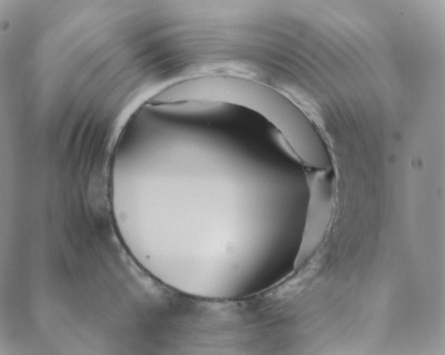 X0000088460816200706121503