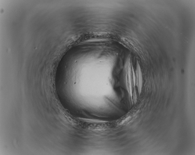 X0000088460817200706121502