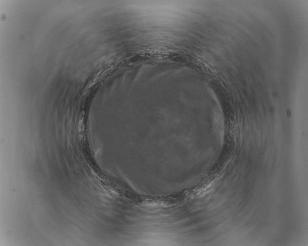 X0000088460818200706121502