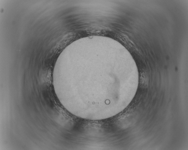 X0000088460820200706121502