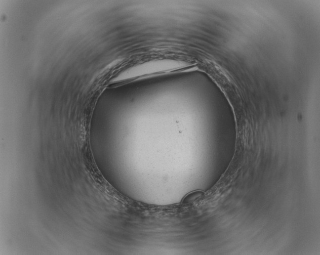 X0000088460821200706121502