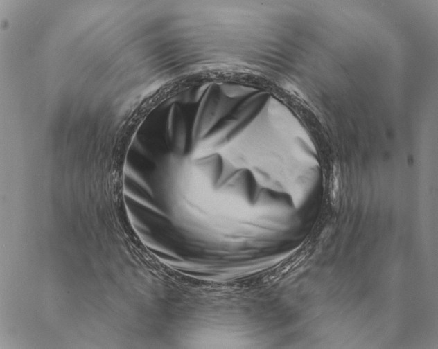 X0000088460822200706121502