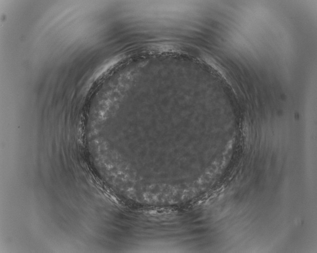 X0000088460823200706121502