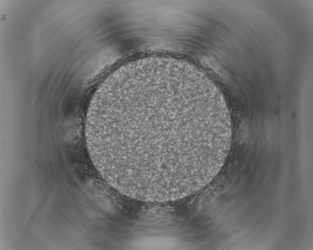 X0000088460824200706121502