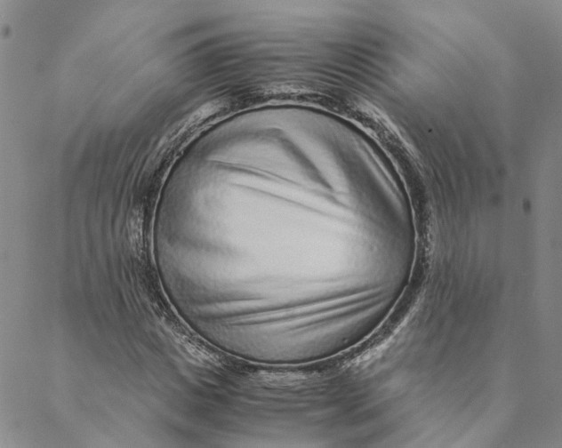 X0000088460825200706121502