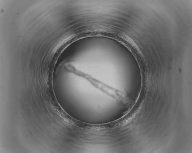 X0000088460826200706121502