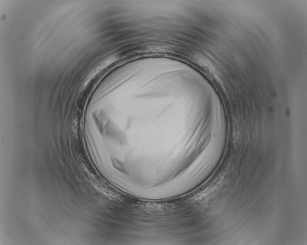 X0000088460827200706121502