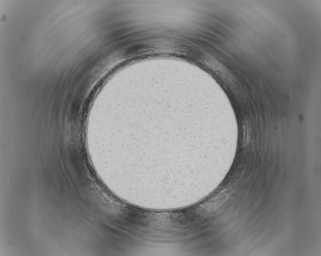 X0000088460828200706121502