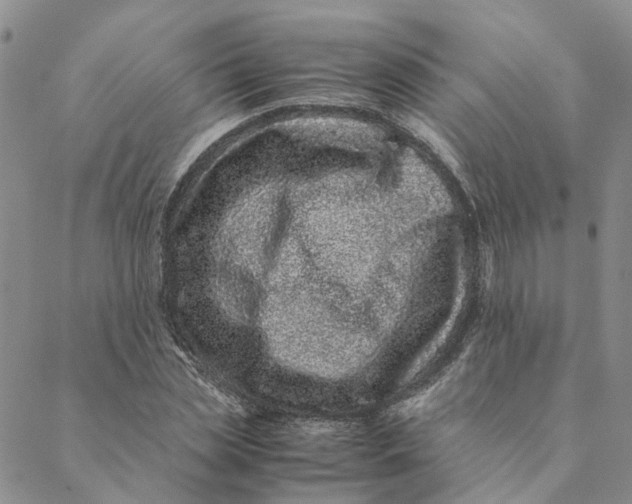 X0000088460829200706121502