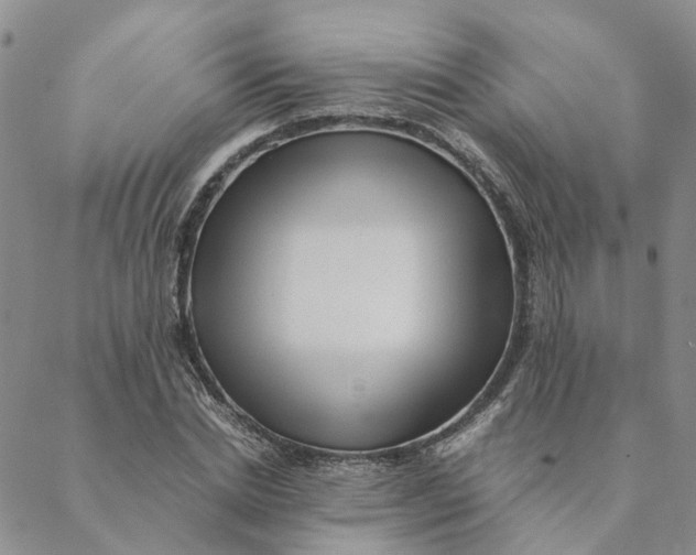 X0000088460830200706121502