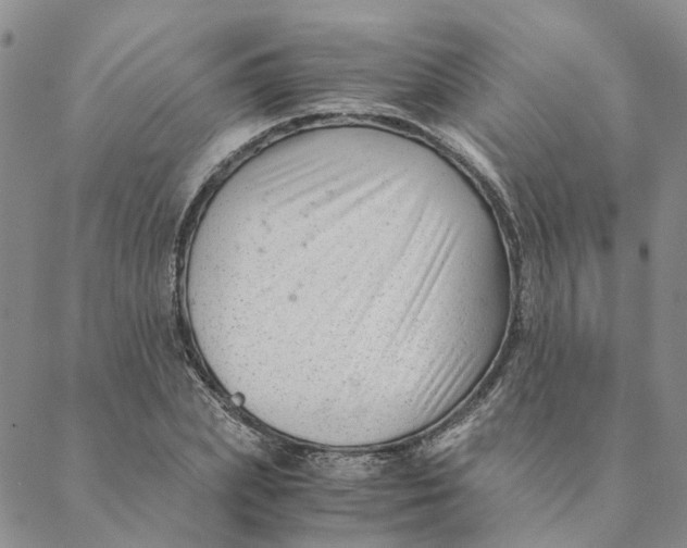 X0000088460831200706121502