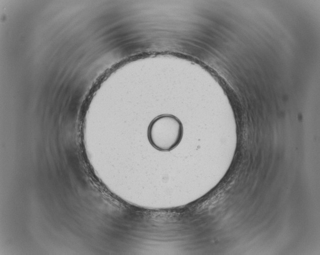 X0000088460832200706121502