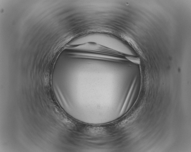 X0000088460833200706121502