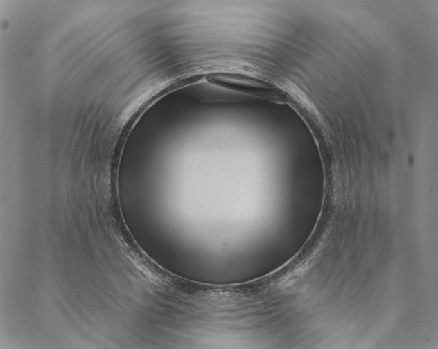 X0000088460834200706121502