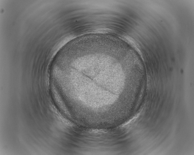 X0000088460835200706121502