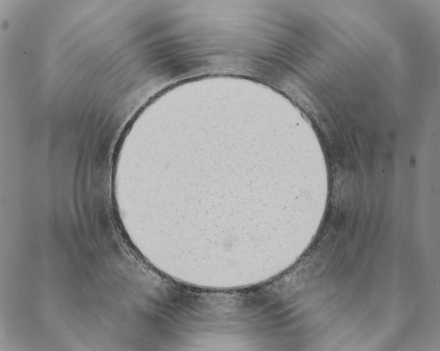 X0000088460836200706121502