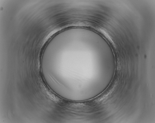 X0000088460837200706121502