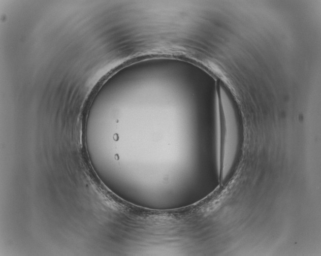 X0000088460838200706121502