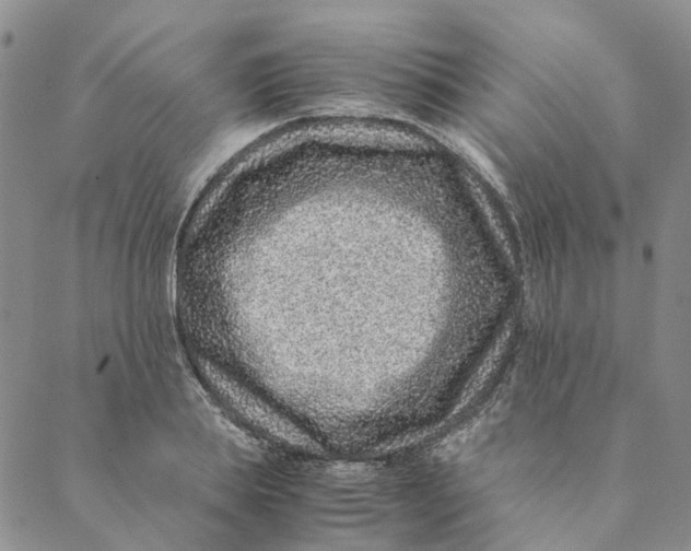 X0000088460839200706121502