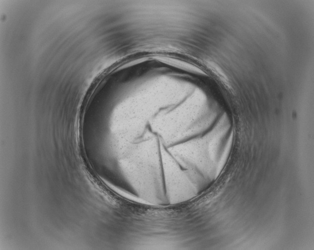 X0000088460840200706121502