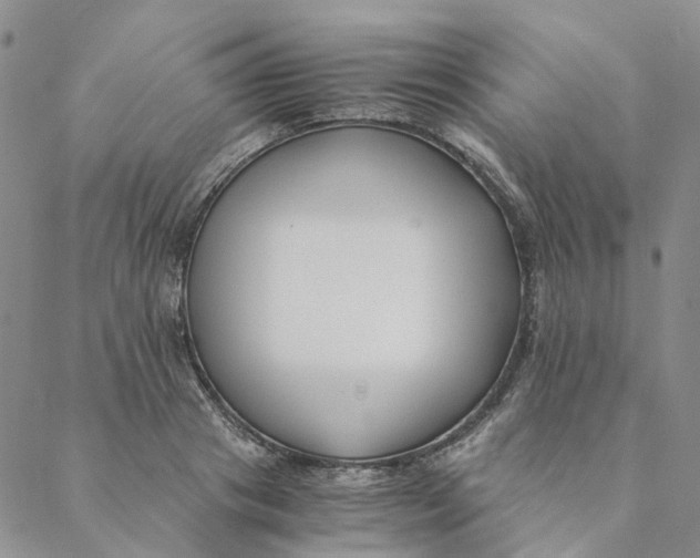 X0000088460841200706121502