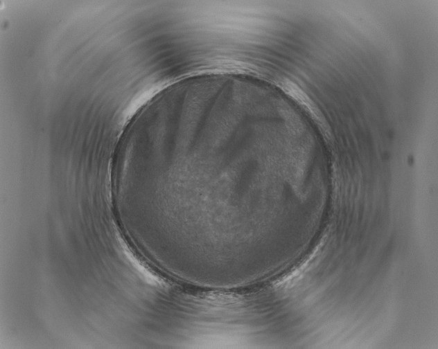 X0000088460842200706121502