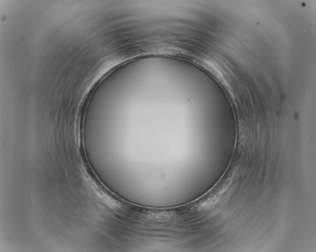 X0000088460843200706121502