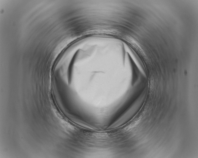 X0000088460844200706121502