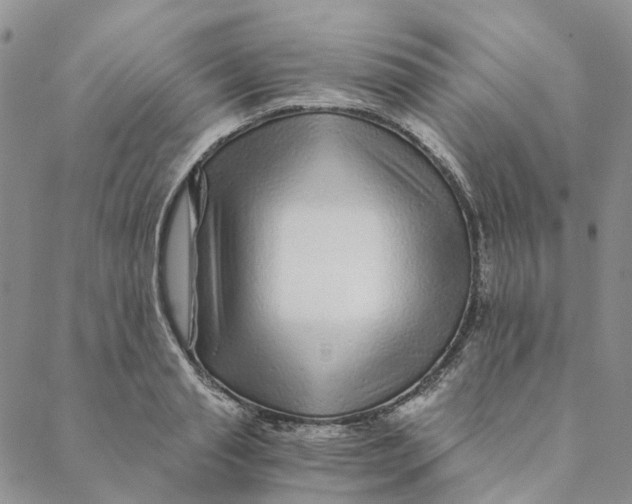 X0000088460845200706121502