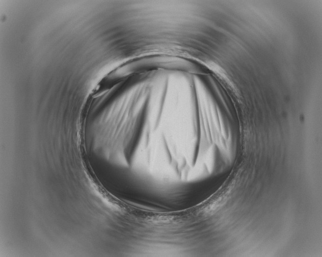 X0000088460846200706121502