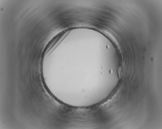 X0000088460847200706121502