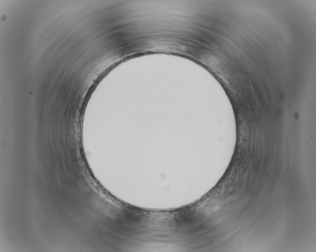 X0000088460848200706121502