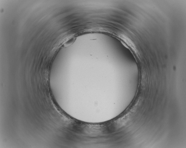 X0000088460849200706121502