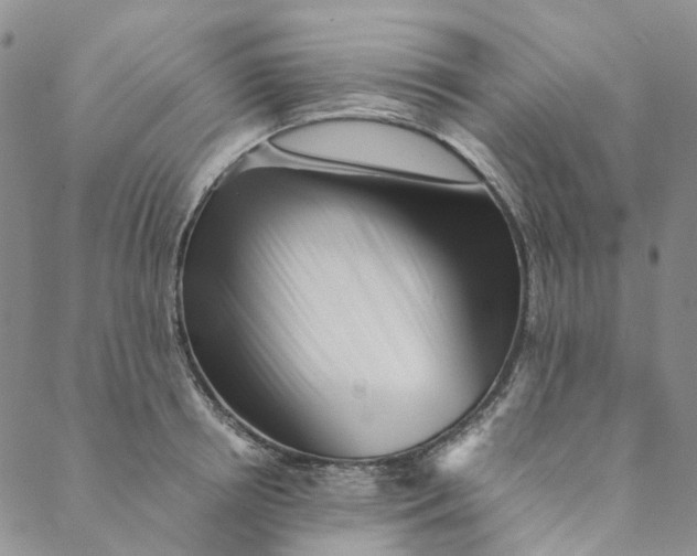 X0000088460850200706121502