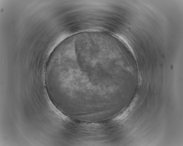 X0000088460851200706121502