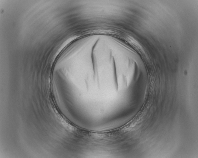 X0000088460852200706121502