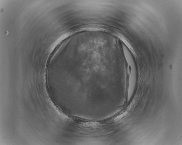 X0000088460853200706121502