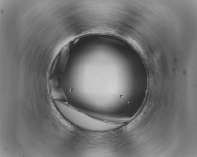 X0000088460854200706121502