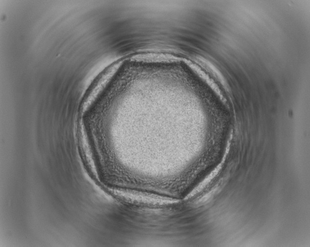 X0000088460855200706121502